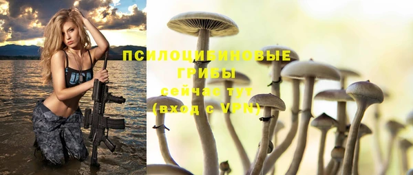 альфа пвп Володарск